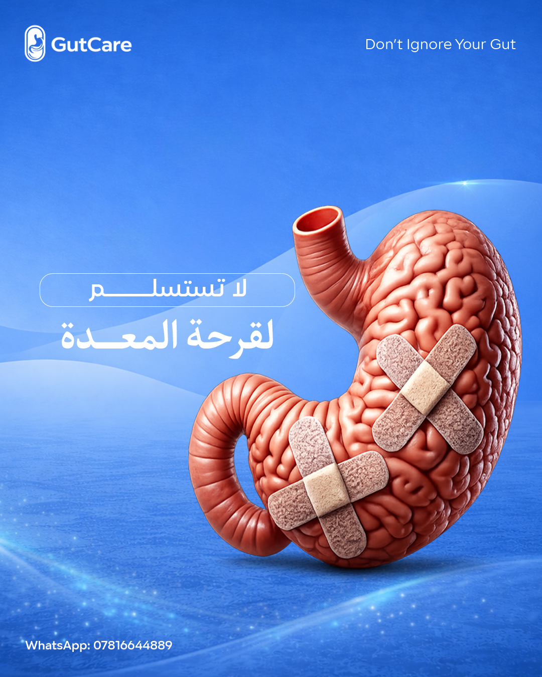 أعمال المشتركين